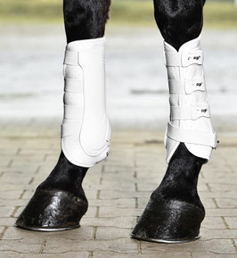 Busse Gamaschen DRESSAGE-PRO