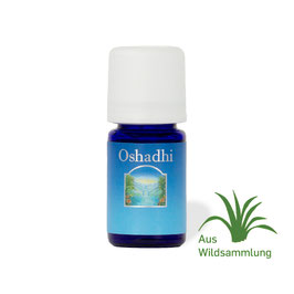 Limette dest. - 10 ml