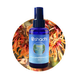 Hamamelis Hydrolat Bio - 100 ml - inkl. Sprühkopf