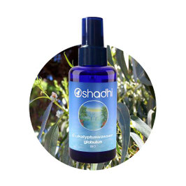 Eukalyptus globulus Hydrolat Bio - 100 ml