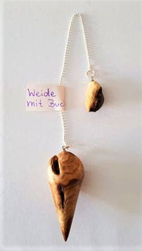 Pendel Weide mit Buche