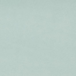 Unterseite Velour | MINT