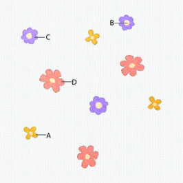 Kuschelkissen | MOTIV FLOWER