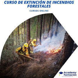 OFERTA! Curso Online de Extinción de Incendios Forestales con Titulación Certificada