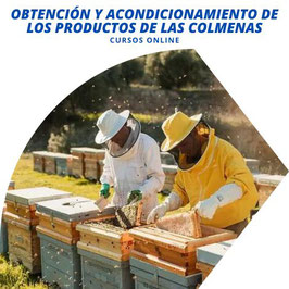 OFERTA! CURSO ONLINE DE OBTENCIÓN Y ACONDICIONAMIENTO DE LOS PRODUCTOS DE LAS COLMENAS + TITULACIÓN CERTIFICADA INCLUIDA