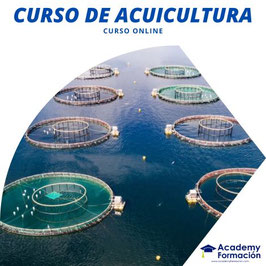 OFERTA! CURSO ONLINE DE ACUICULTURA CON TITULACIÓN CERTIFICADA