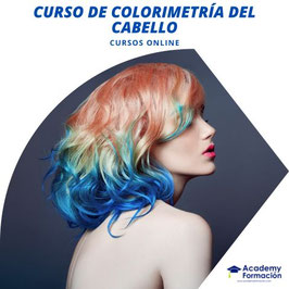 OFERTA! Curso Online de Colorimetría del Cabello (Titulación Certificada)