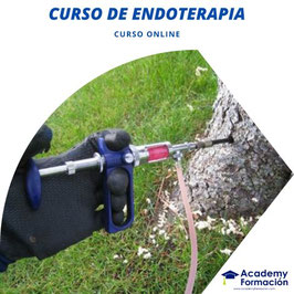 OFERTA! CURSO ONLINE DE ENDOTERAPIA  + TITULACIÓN CERTIFICADA