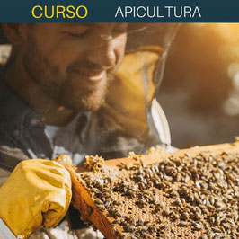 OFERTA! CURSO ONLINE DE APICULTURA + TITULACIÓN CERTIFICADA