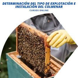 OFERTA! CURSO ONLINE DE DETERMINACIÓN DEL TIPO DE EXPLOTACIÓN E INSTALACIÓN DEL COLMENAR + TITULACIÓN CERTIFICADA INCLUIDA