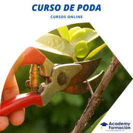 OFERTA! CURSO ONLINE DE PODA + TITULACIÓN CERTIFICADA