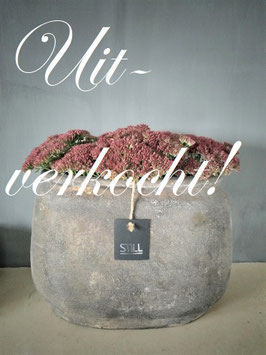 Stenen ovale pot merk Still ***uitverkocht***