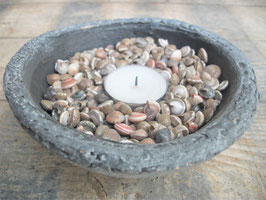 Umbonium schelpen per 0,5 kg