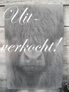 Shabby deco plaat hooglander ***uitverkocht***