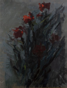 GAROFANI ROSSI - RED CARNATIONS