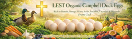 LESTDEggs-1 Organic Health-Promoting Campbell Duck Eggs 有机养生坎贝尔鸭蛋