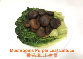有机生菜香菇 Organic Lettuce Mushrooms