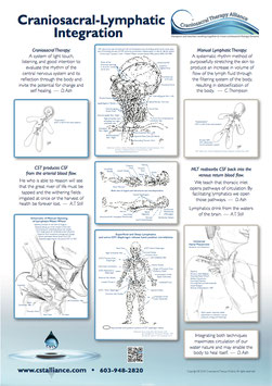 "Craniosacral-Lymphatic Integration" Poster with illustrations by Don Ash, PT, CSTA-CP-I