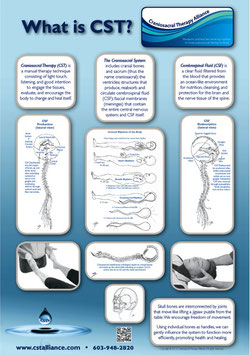 "What is CST?" Poster with illustrations by Don Ash, PT, CSTA-CP-I