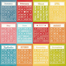 Simple Stories Daily Grind: Bingo Card/ Months