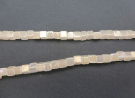 Wu25 Würfel Perlmutt 4mm