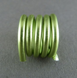 Alu 2mm (17) Blassgrün