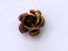 Ro07 Rose Braun 16 mm