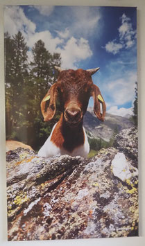 "Bundragiusa" Fotodruck auf Leinwand 45x80 cm