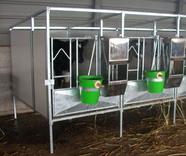 Box per vitelli