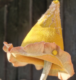 Saunahut Unikat Modell 16