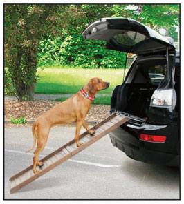 Auto Hunderampe Boarding L