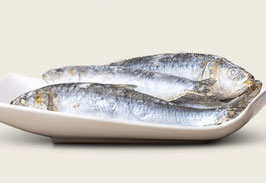 Sardinen ganz 1 kg