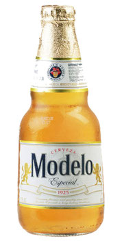MODELO ESPECIAL