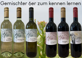 6er gemischt, zum kennen lernen