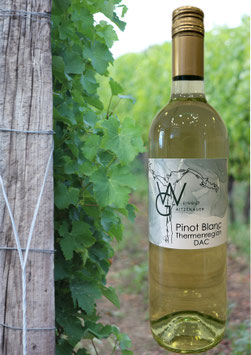 Pinot Blanc Klassik DAC