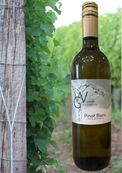 Pinot Blanc Heugassl
