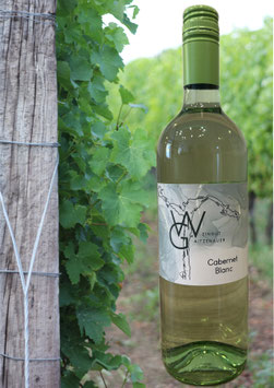 Cabernet Blanc