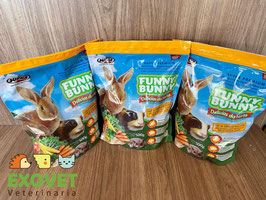 Funny Bunny