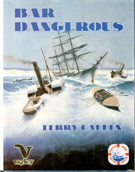 Bar Dangerous by Terry Callen