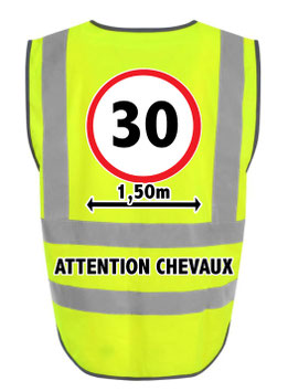 Gilet de sécurité adulte 30 km/h