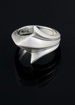 Silber Ring