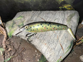PJUUK ESW-17 Bachforelle 17cm 40g