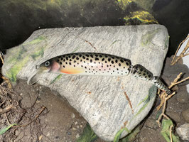 HANDMADE Wobbler 3-tlg. 17cm 38g