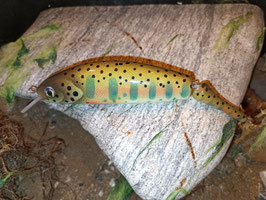 HANDMADE Wobbler 2-tlg. 16,5cm 44g