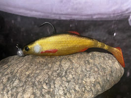 Huchen Golden Roach 16,5cm montiert (Gewichtauswahl)