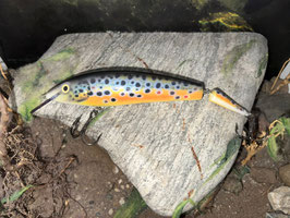 PJUUK ESW-17 Goldbauchforelle 17cm 40g