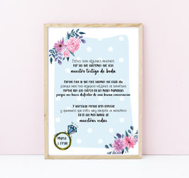 Lámina testigo lunares