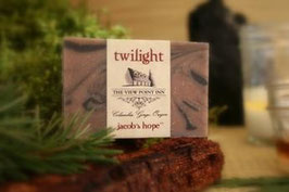 jacob's hope twilight ~ Viewpoint Inn