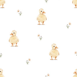 Jersey EP Cute Duck