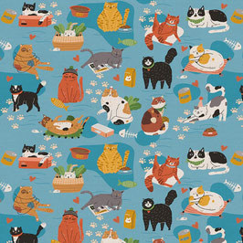 BW Katzen blau